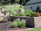 Landscape Beds