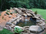 Pond