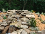 Pond
